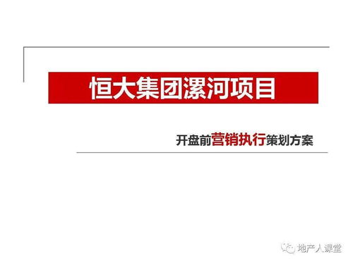 策划 房地产开盘前营销执行策划方案