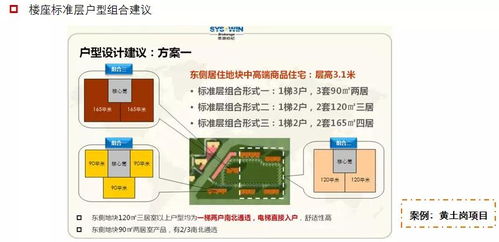 精选 房地产前期策划