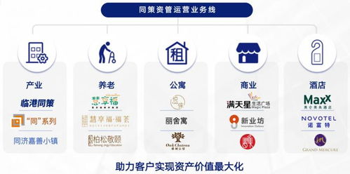 同策集团 荣获2025中国房地产策划代理百强优秀企业